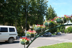 Нарядные цветочные арки
