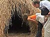 Жилищное строительство: город или пригород?