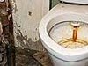 Драгоценный унитаз